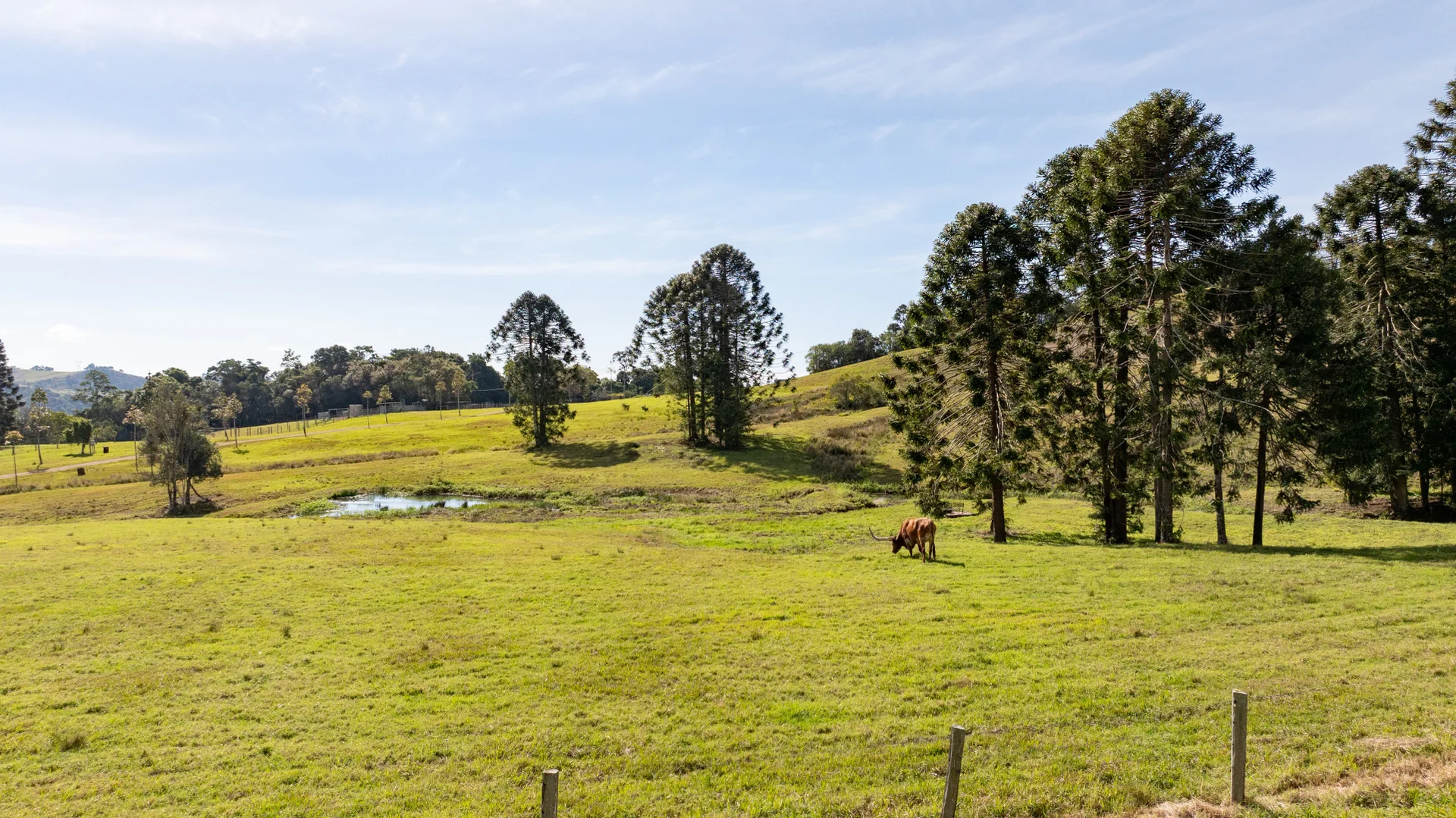 Additional image 25 of 55 Trail Road, Maleny QLD 4552