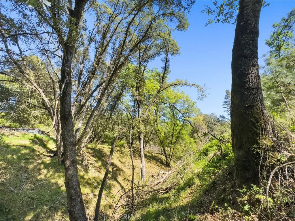 Additional image 60 of 22666 Lower Quail Mine Road, Sonora, CA 95370