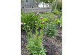 Additional image 33 of 16 Hazelwood Rd, Dennis, MA, 02660