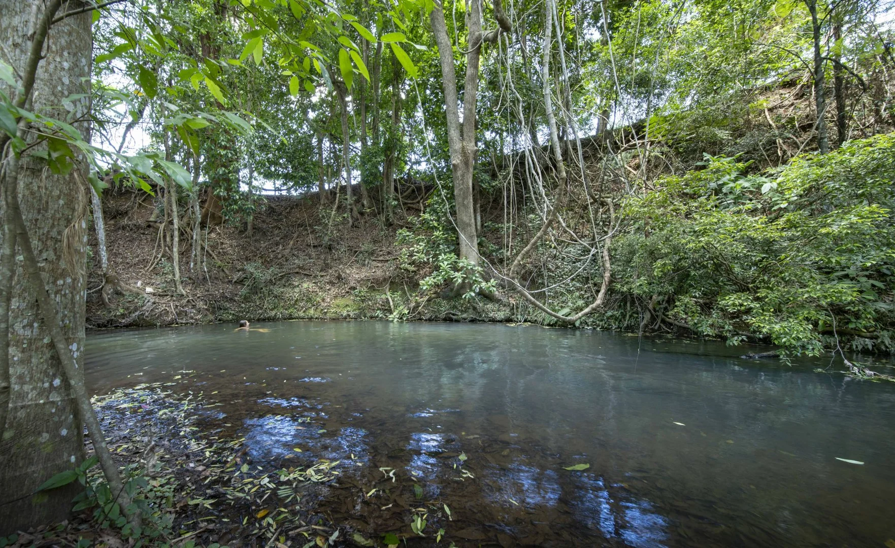 Additional image 23 of 829 The Pocket Rd, The Pocket NSW 2483