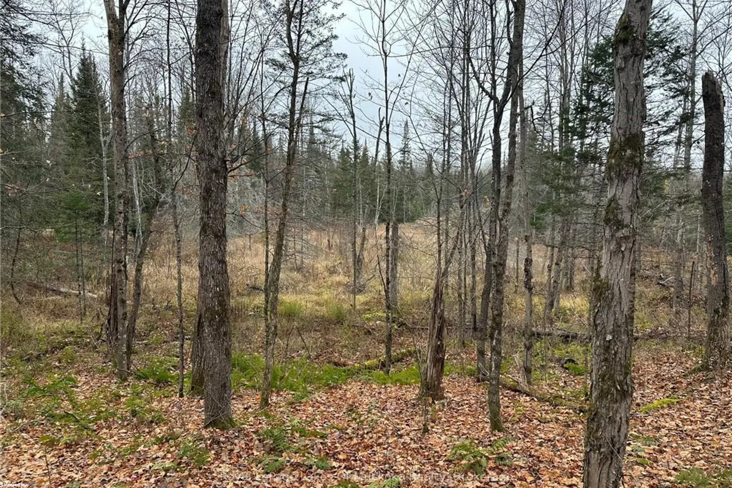 Additional image 5 of Lot 2 Hill And Gully Road
