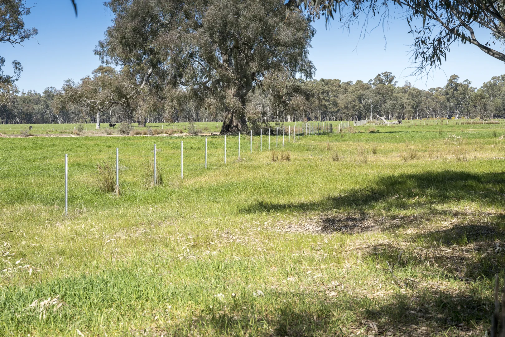 Additional image 8 of CA32 Baddaginnie-Benalla Road, Benalla VIC 3672