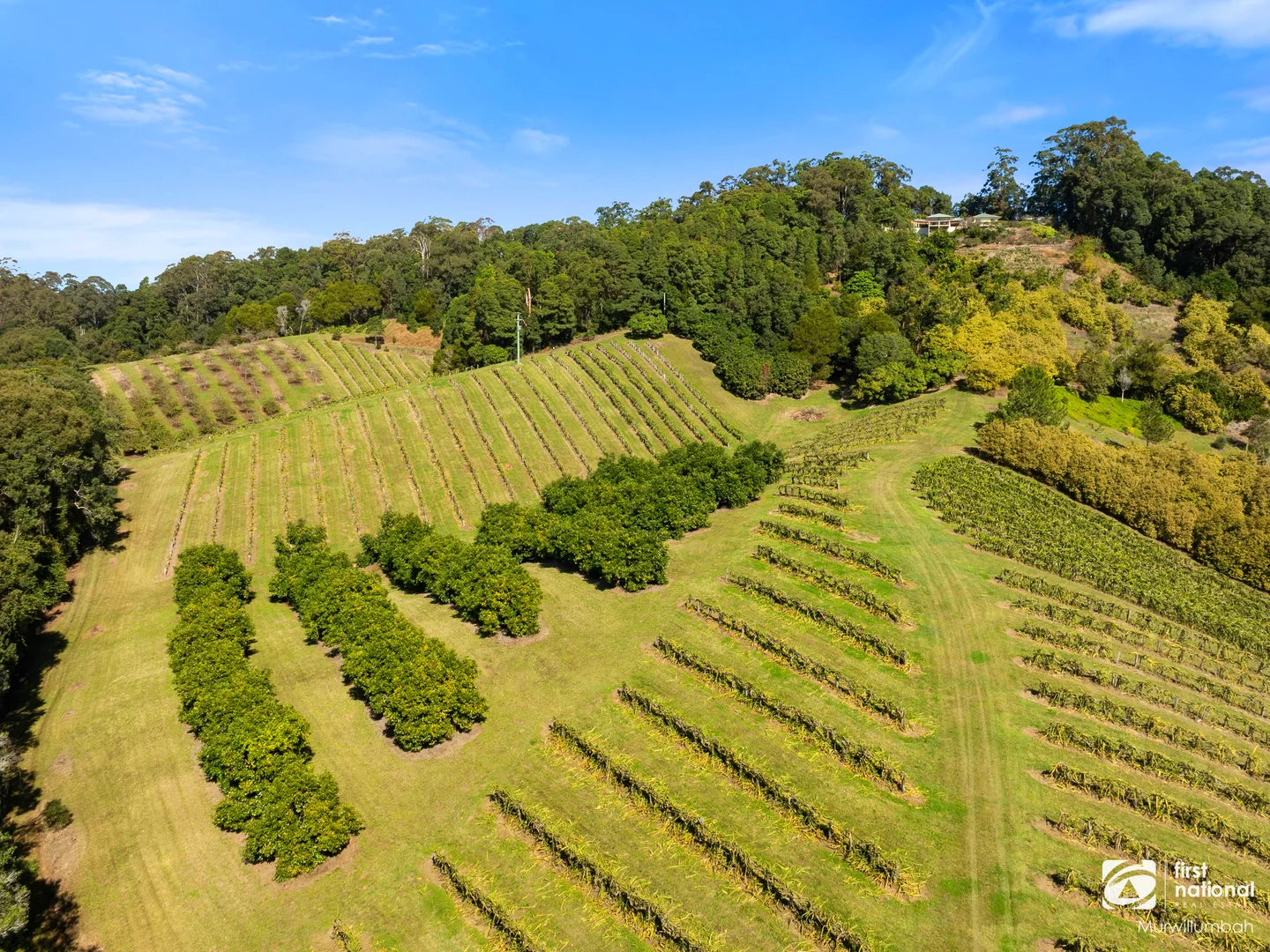 Additional image 29 of 7083 Tweed Valley Way, Dunbible NSW 2484