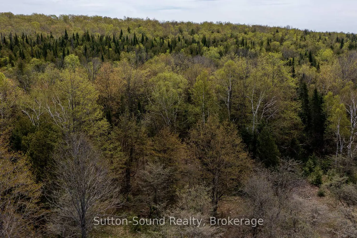 Additional image 4 of 502054 Grey Rd 1 999 Road