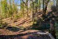Additional image 29 of 30606 NE Harrison Rd, Battle Ground, WA, 98604