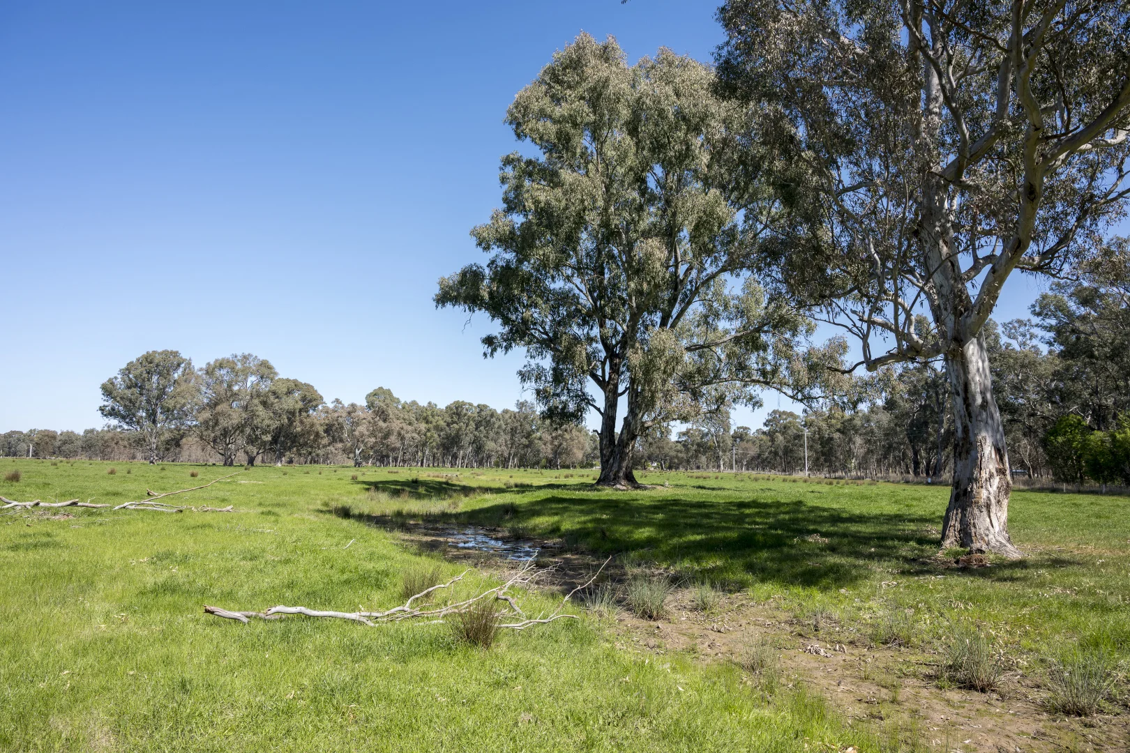 Additional image 4 of CA32 Baddaginnie-Benalla Road, Benalla VIC 3672