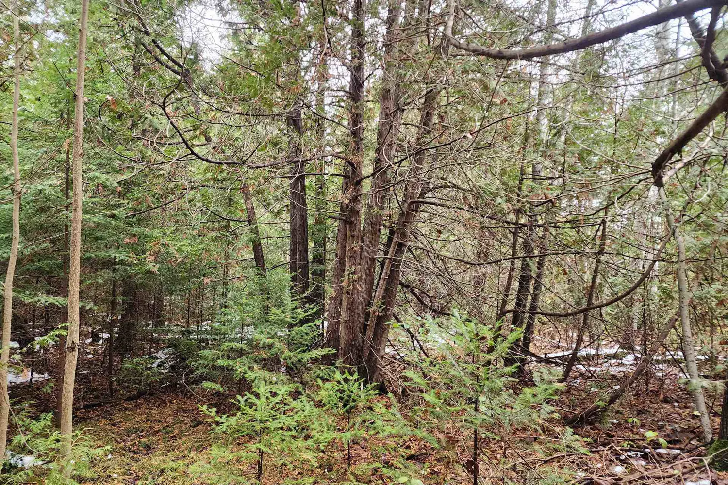 Additional image 3 of 10189 Concession 3 Road