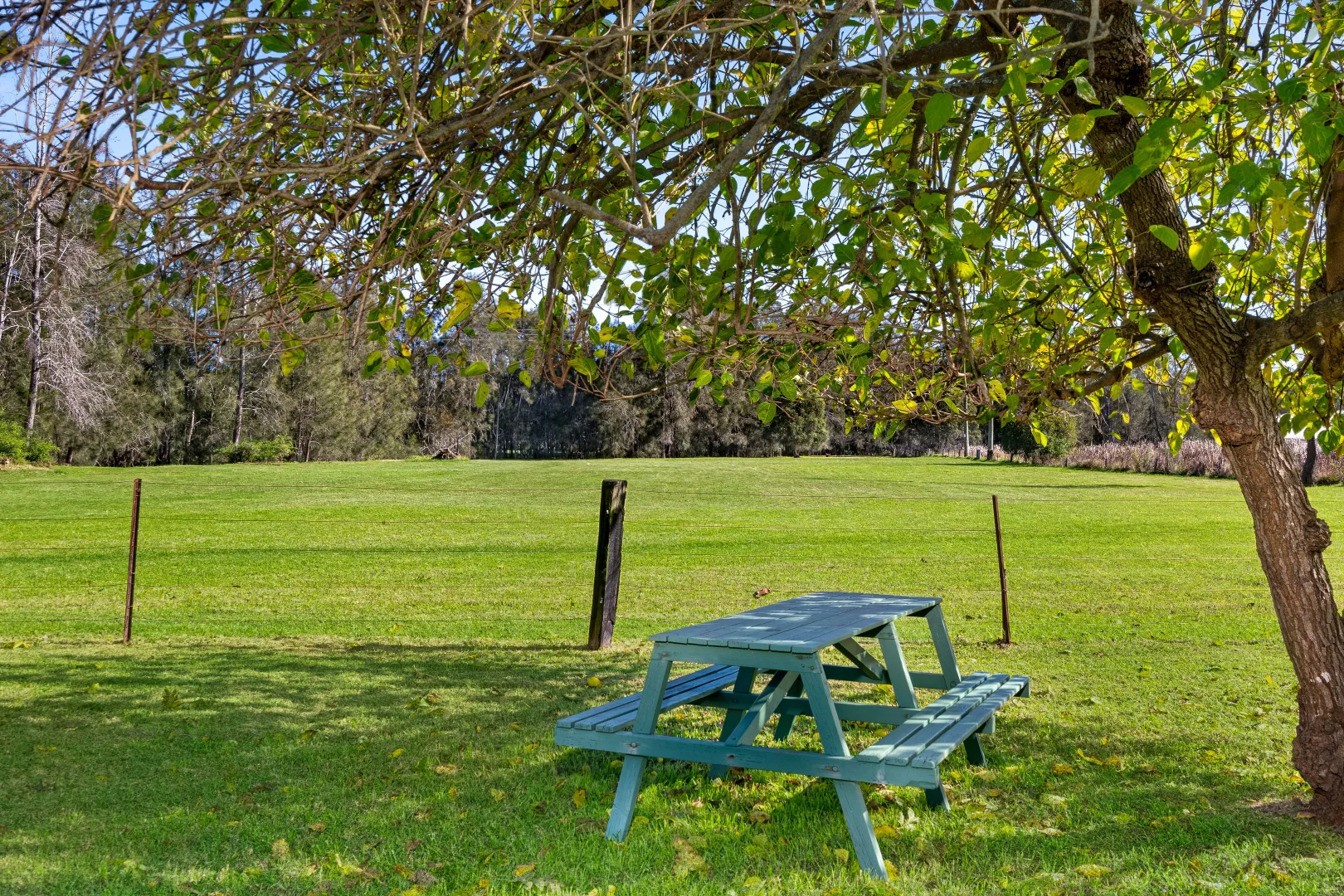 Additional image 21 of 211 Dwyer Road, Leppington NSW 2179