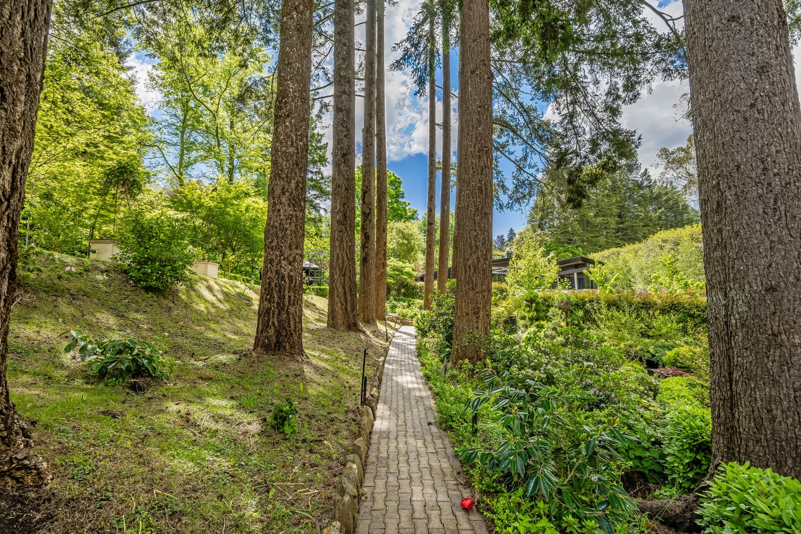 Additional image 51 of 16 Birch Road, Stirling SA 5152