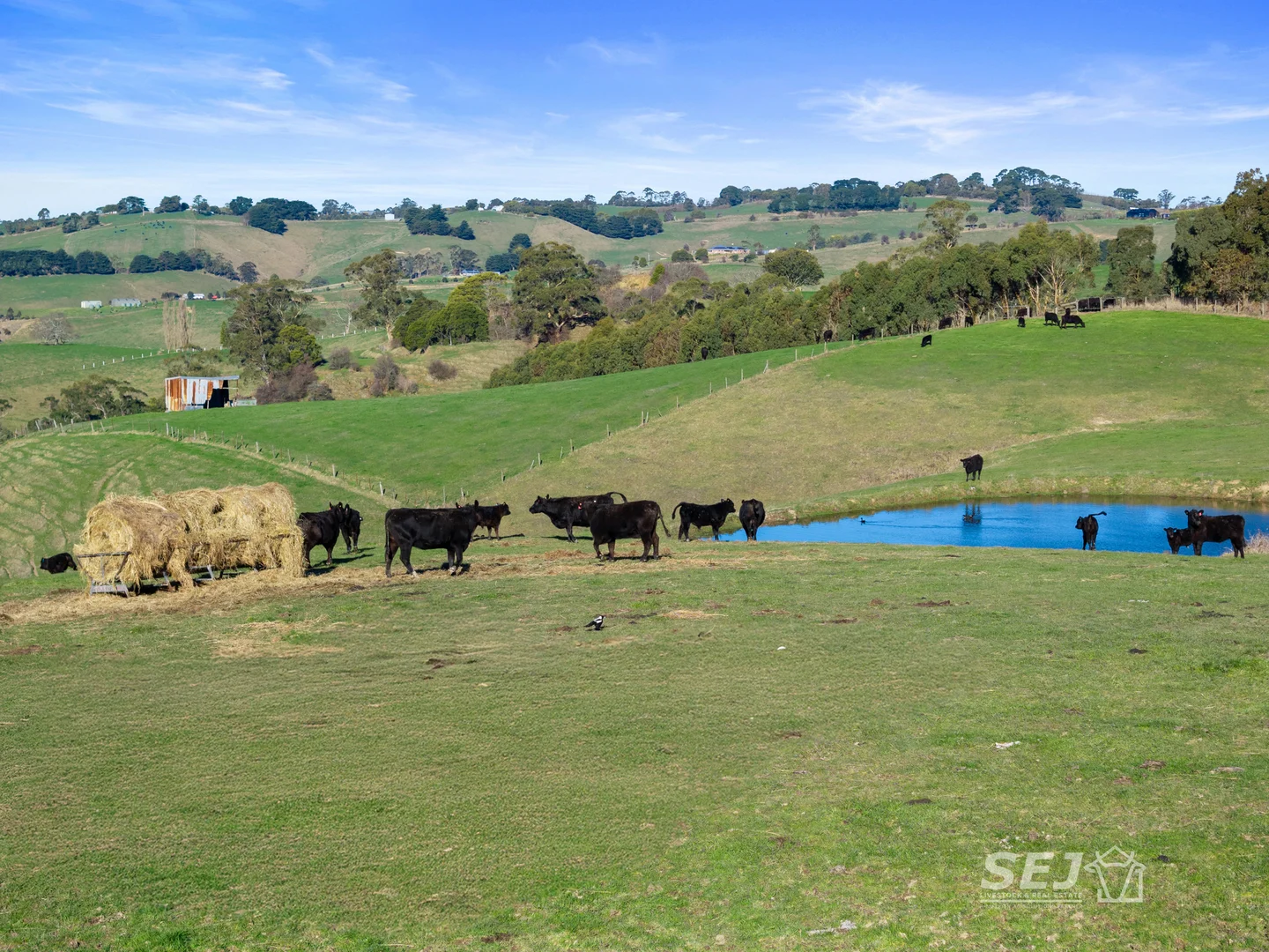 Additional image 2 of 710 Korumburra - Warragul Road, Ranceby VIC 3951