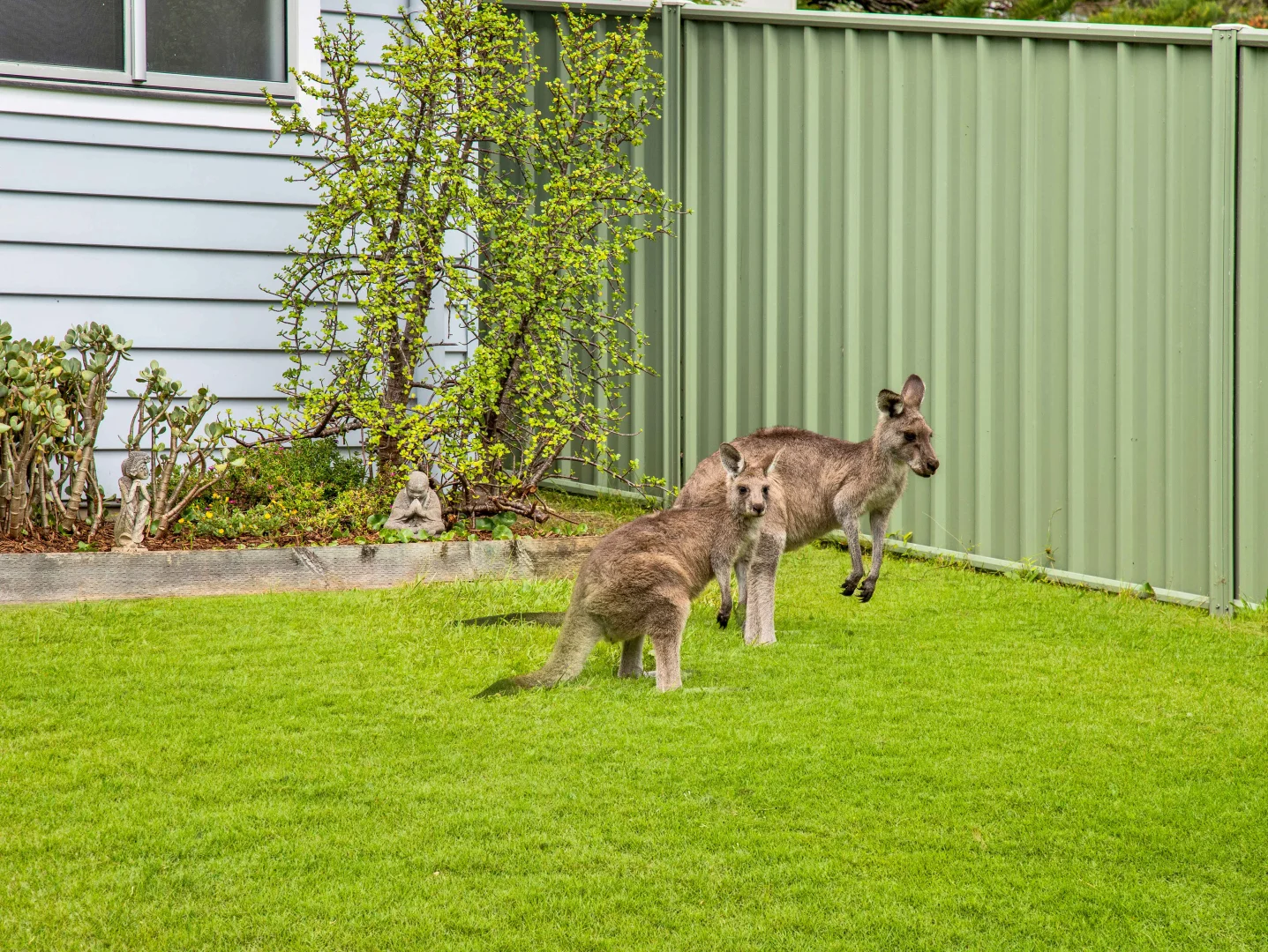 Additional image 21 of 6 Village Road, South Durras NSW 2536