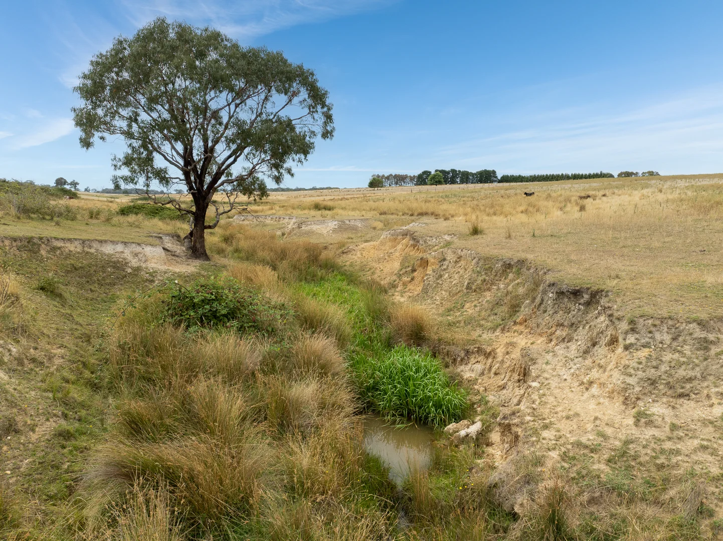 Additional image 47 of 'Top Farm' 1004 Neville-Trunkey Road, Neville NSW 2799