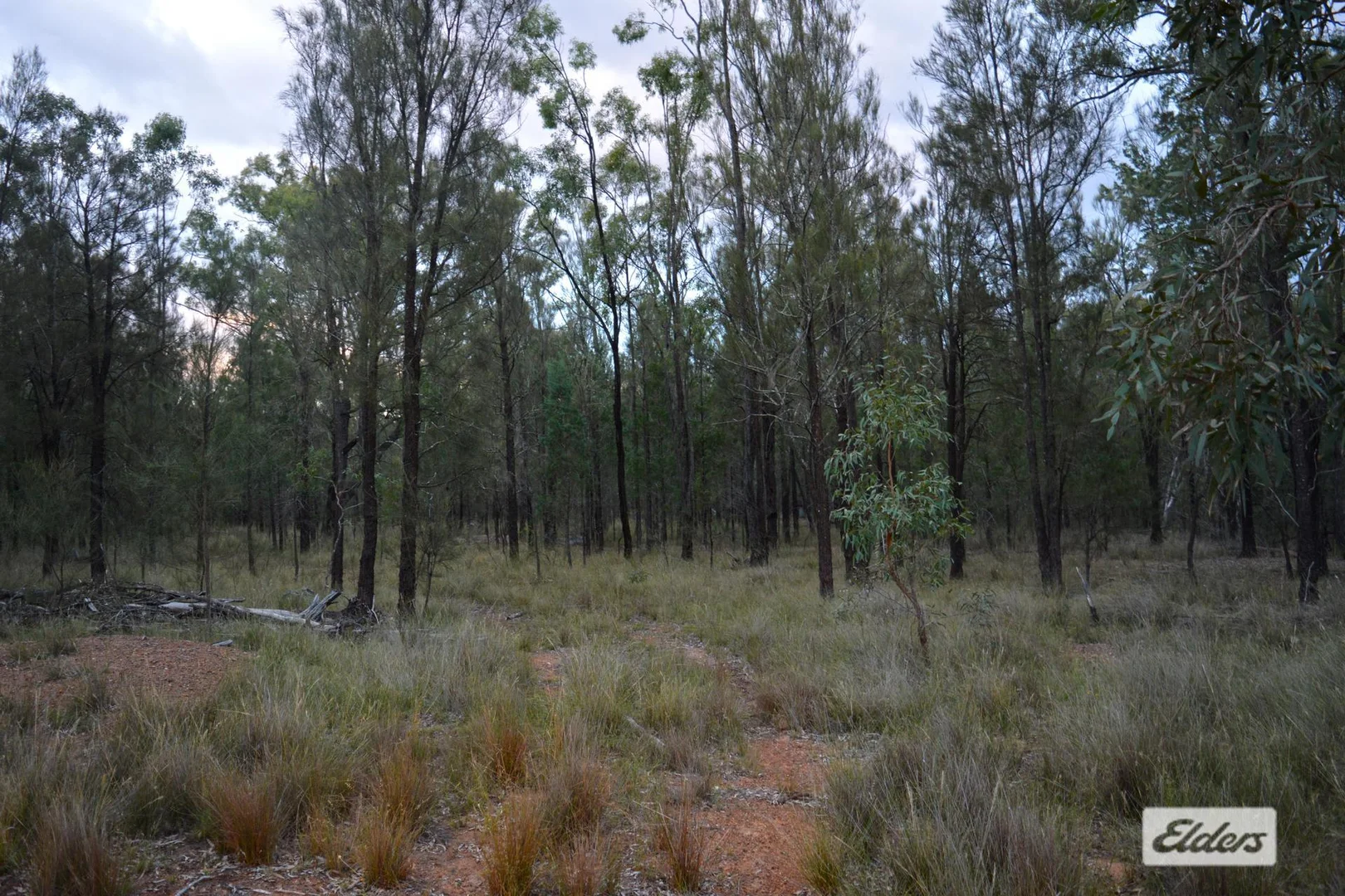 Additional image 17 of 138 Kessler Road, Old Talgai QLD 4362