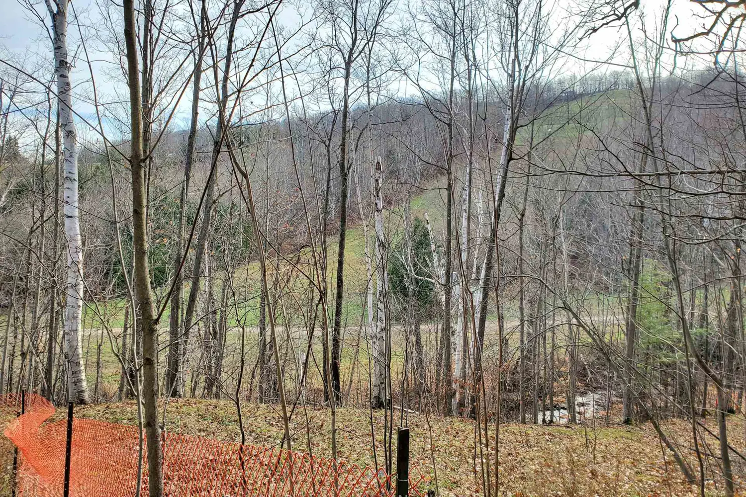 Additional image 9 of 242 Arrowhead Road 16