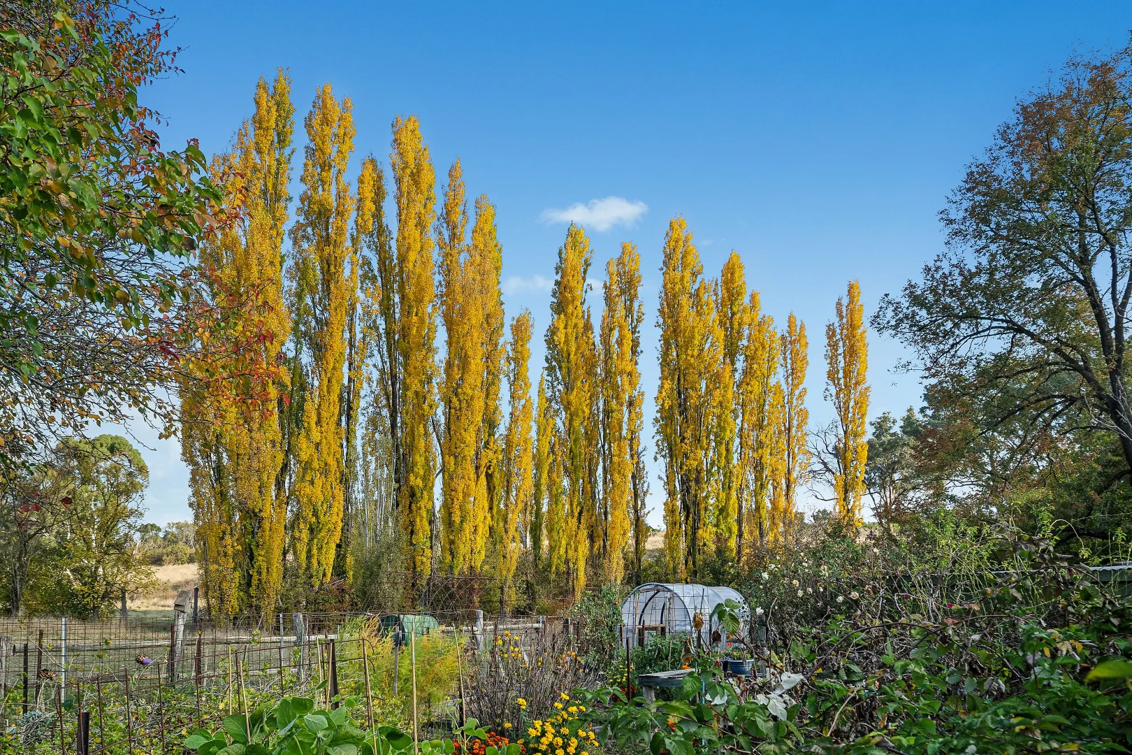 Additional image 14 of 79 Thompson Road, Orange NSW 2800