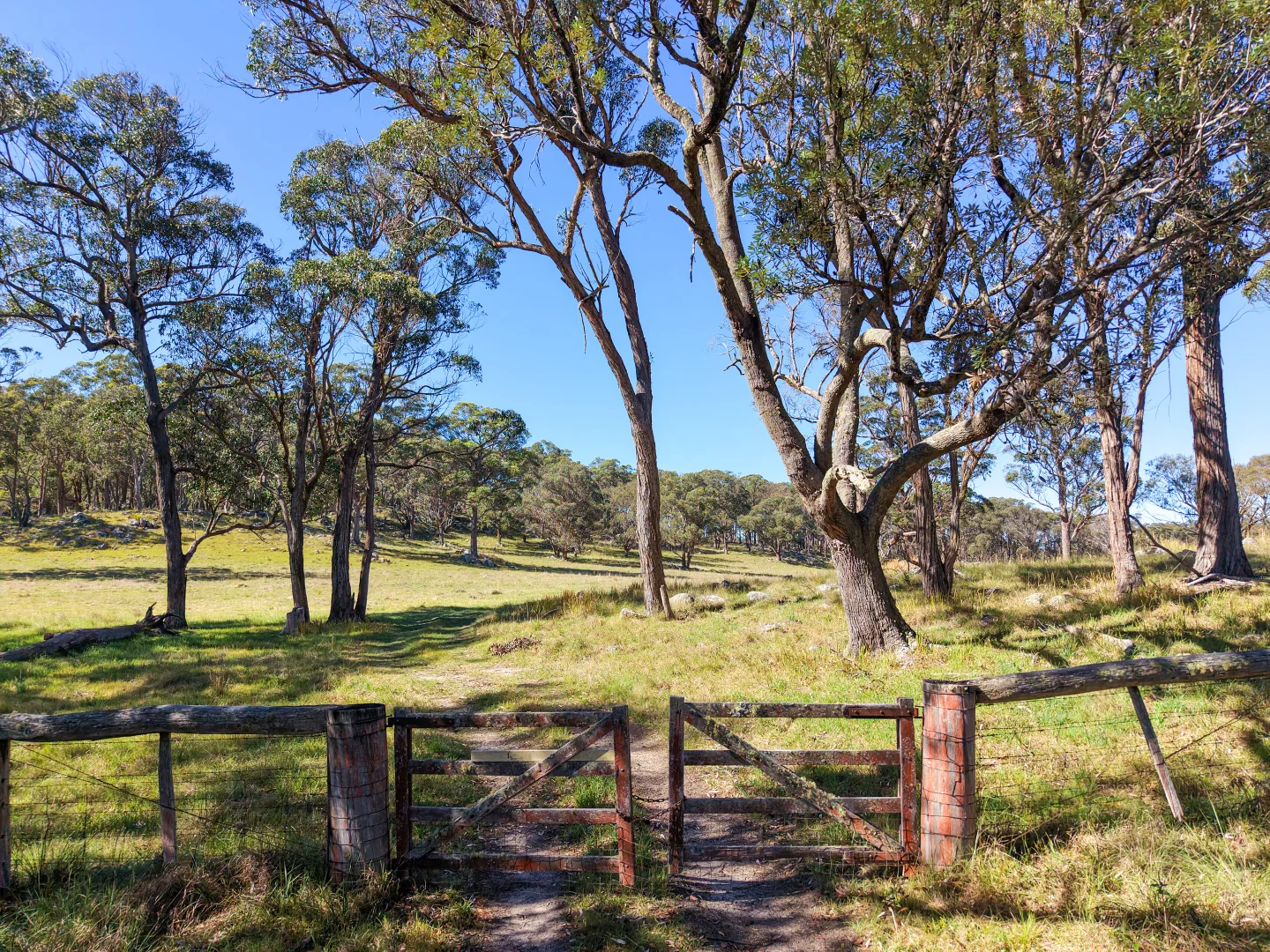 Additional image 21 of 2153 Mount Lindesay Road, Tenterfield NSW 2372