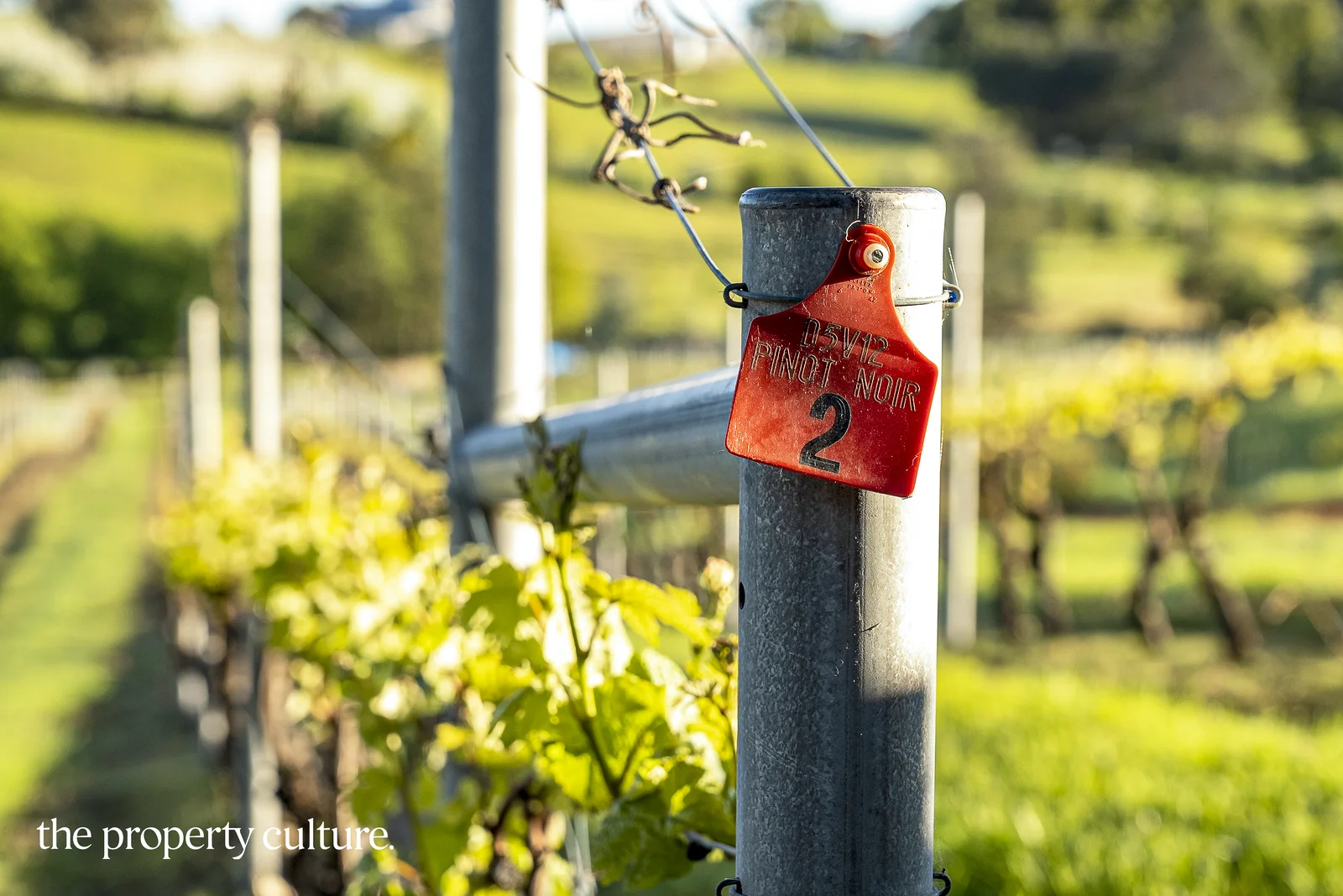 Additional image 26 of 42 Voss Rd, Glaziers Bay TAS 7109