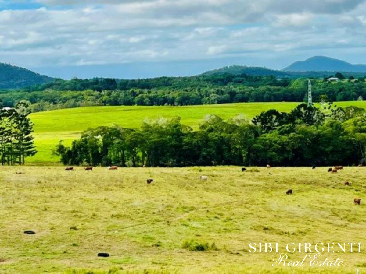 Additional image 3 of 1297 Mt Molloy Street, Mossman QLD 4873