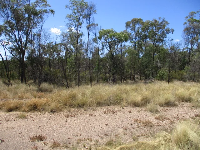 Lot 33 Males Drive, Tara QLD 4421