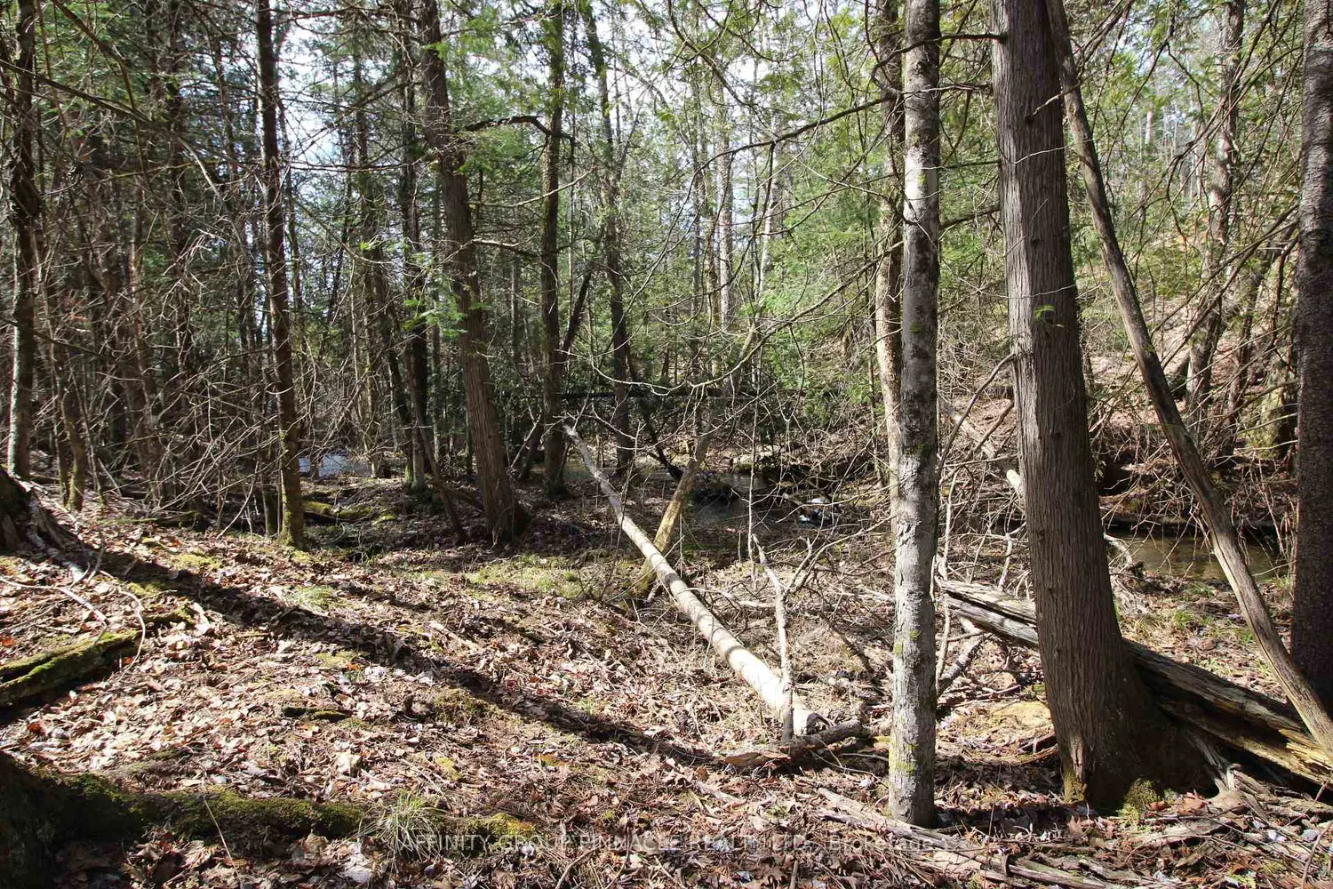 Additional image 7 of Lot 15 Concession 9