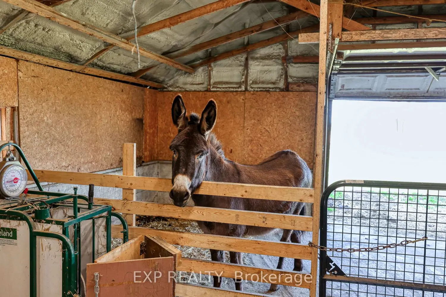 Additional image 6 of 3892 Lewis Road