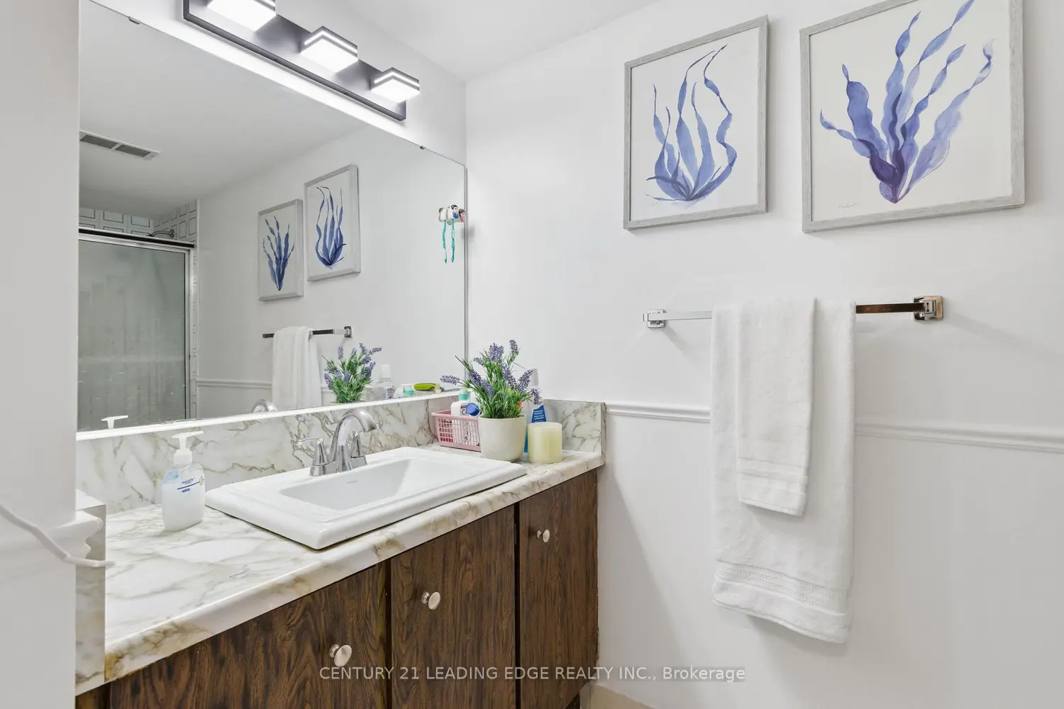 Additional image 11 of 301 Frances Avenue 407