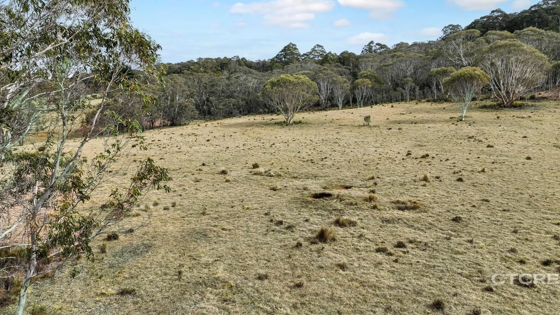 Additional image 14 of 1695 Bendoc-Orbost Road, Bendoc VIC 3888