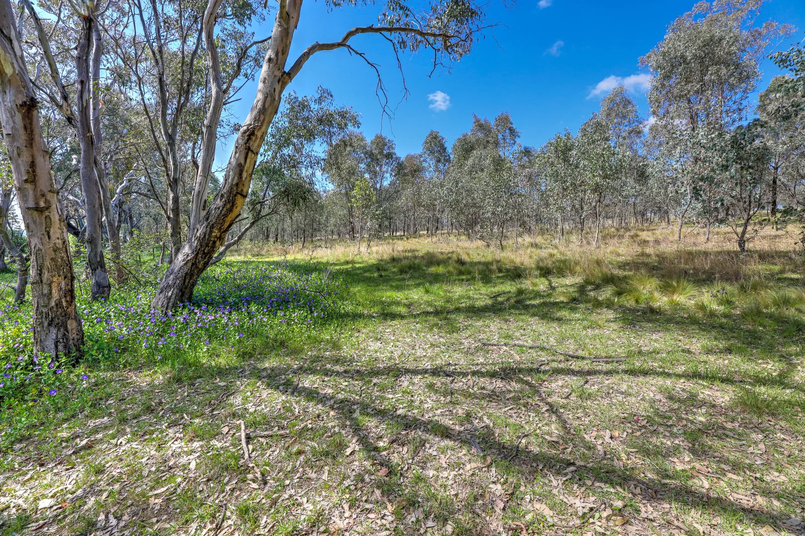 Additional image 8 of Lot 77-79, 131 Prescot Street, Lyndhurst NSW 2797