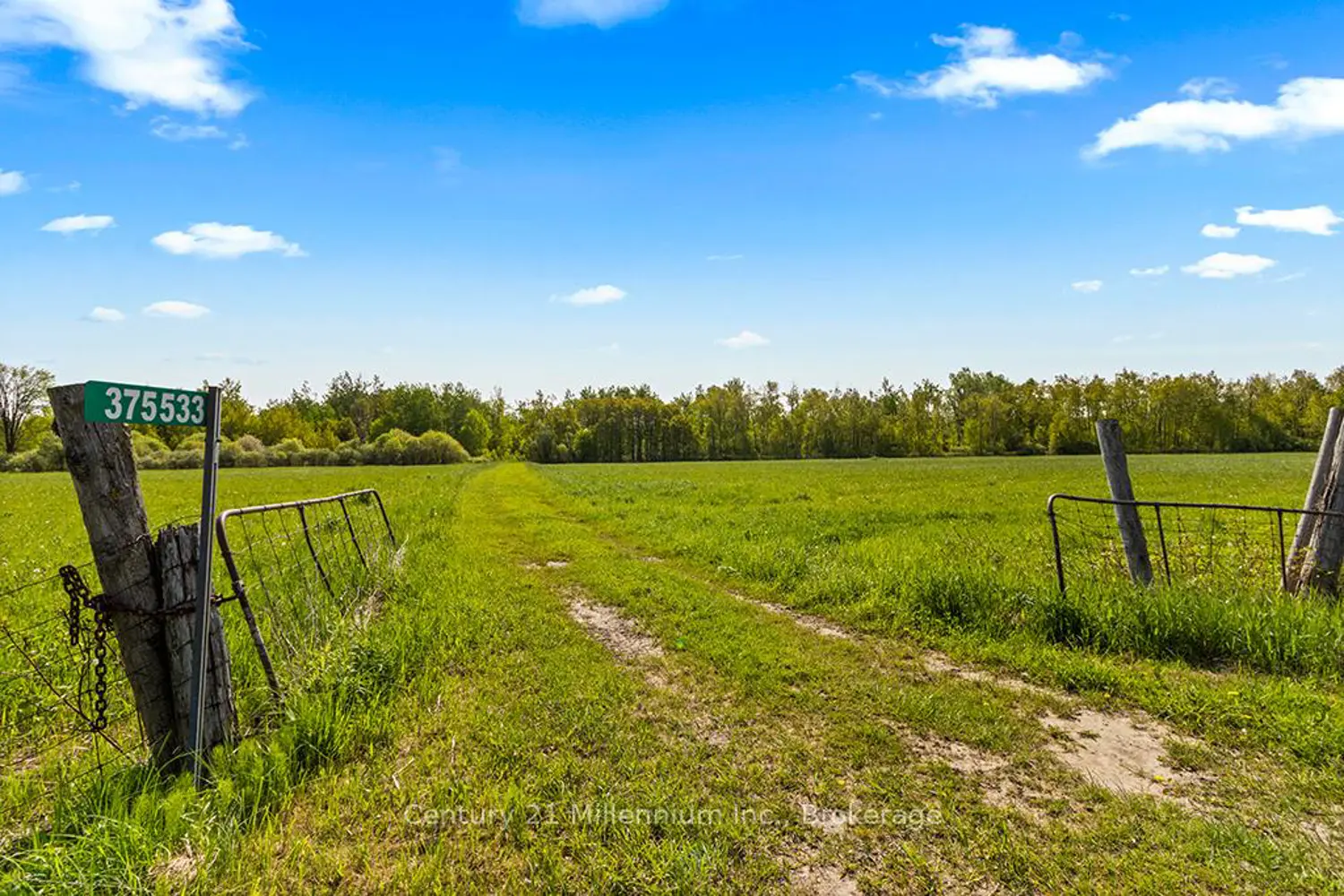 Additional image 5 of 375533 6Th Line