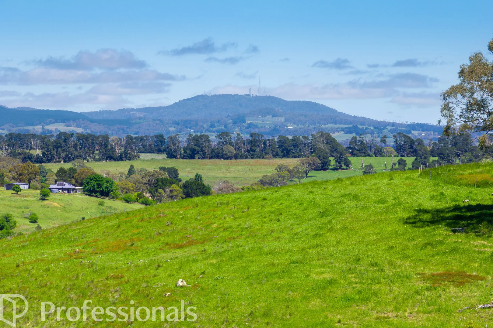Additional image 32 of 94 Emu Swamp Road, Orange NSW 2800