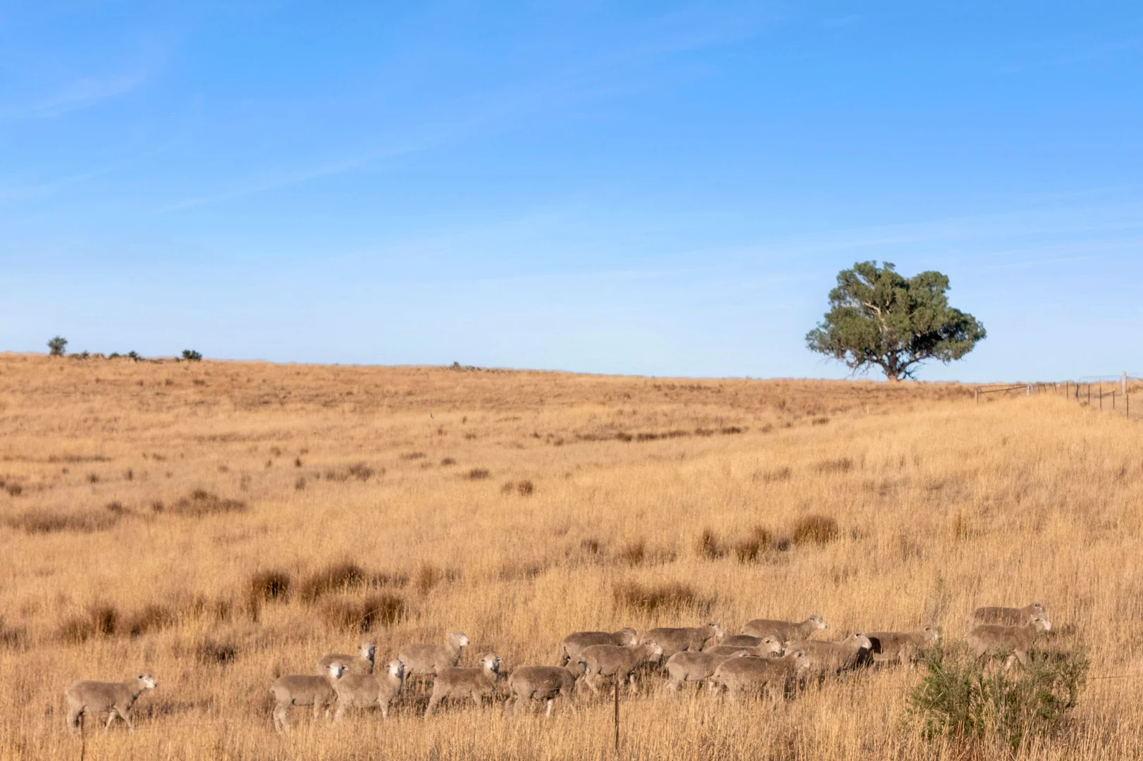 Additional image 10 of 3495 Burke and Wills Track, Mia Mia VIC 3444