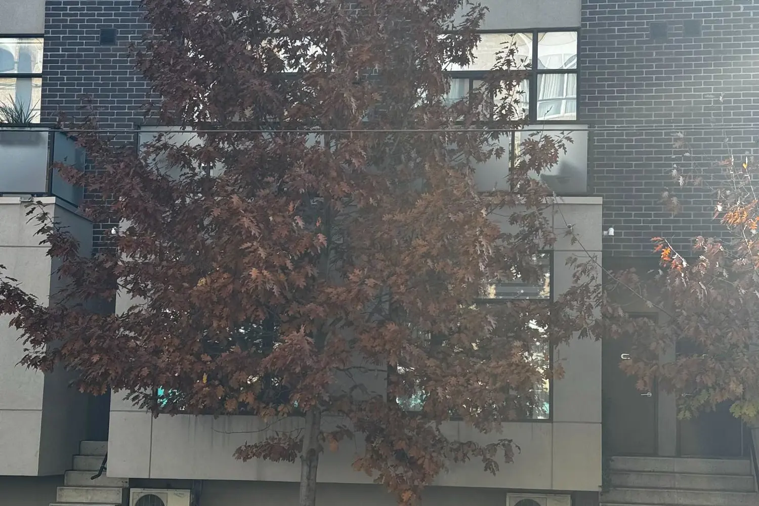 Additional image 5 of 1321 Gerrard Street 3