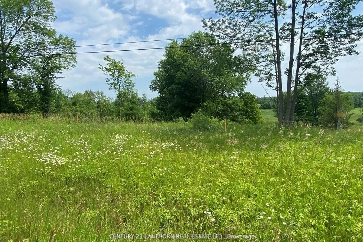 Additional image 9 of 0 Hwy 62