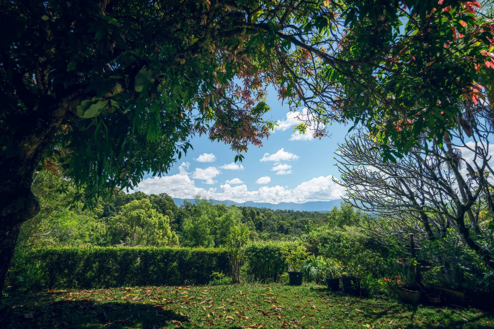 Additional image 7 of 136 Bowraville Road, Bellingen NSW 2454