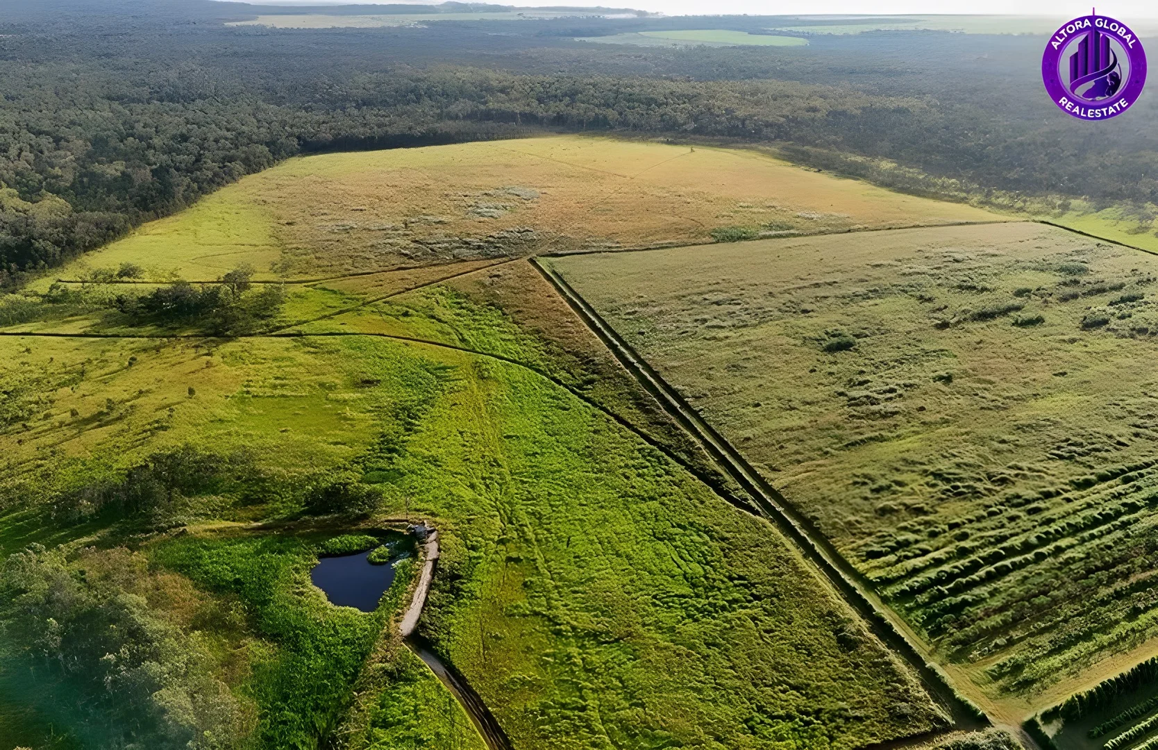 Additional image 4 of 326 Springs Road, Paddys Green QLD 4880