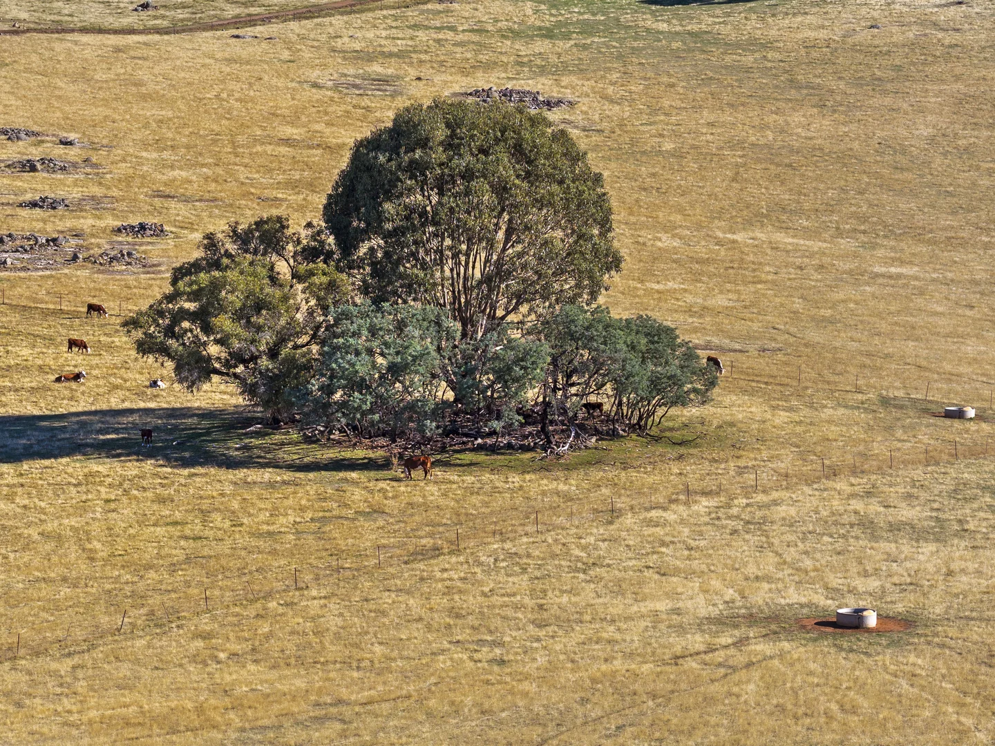 Additional image 7 of 592 Bonnie Doon Road, Boho South VIC 3669