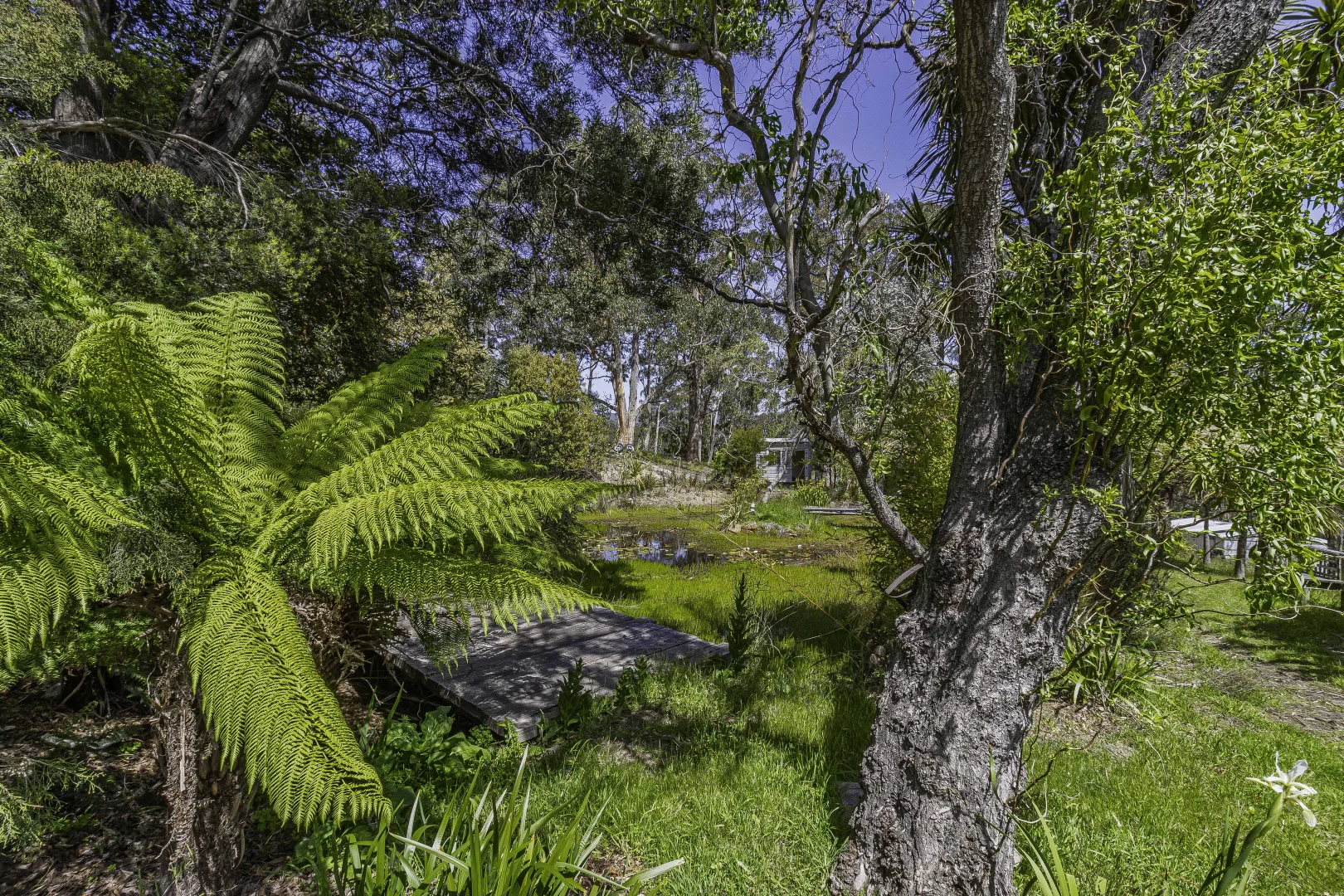 Additional image 36 of 242 Woolleys Road, Lonnavale TAS 7109