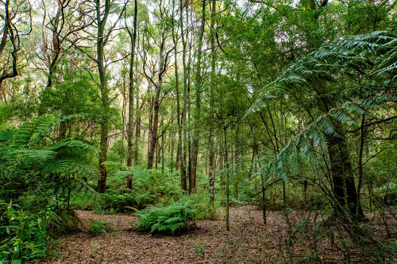 Additional image 36 of 2160 Meeniyan -Promontory Rd, Fish Creek VIC 3959
