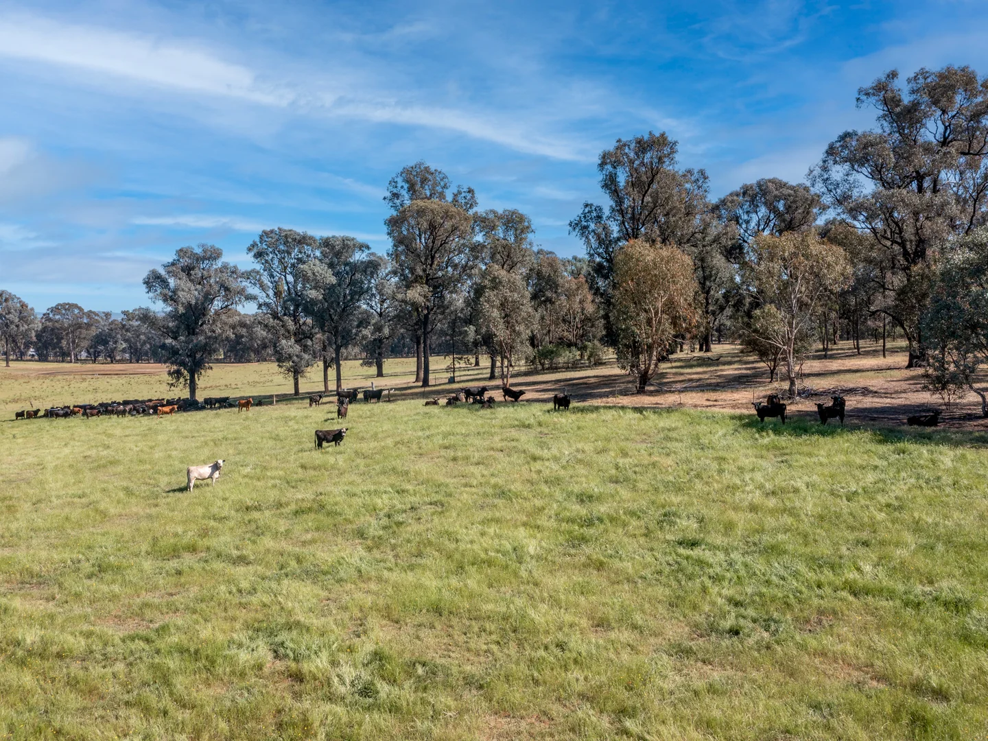 Additional image 4 of Eleven Mile Creek Road, Glenrowan West VIC 3675