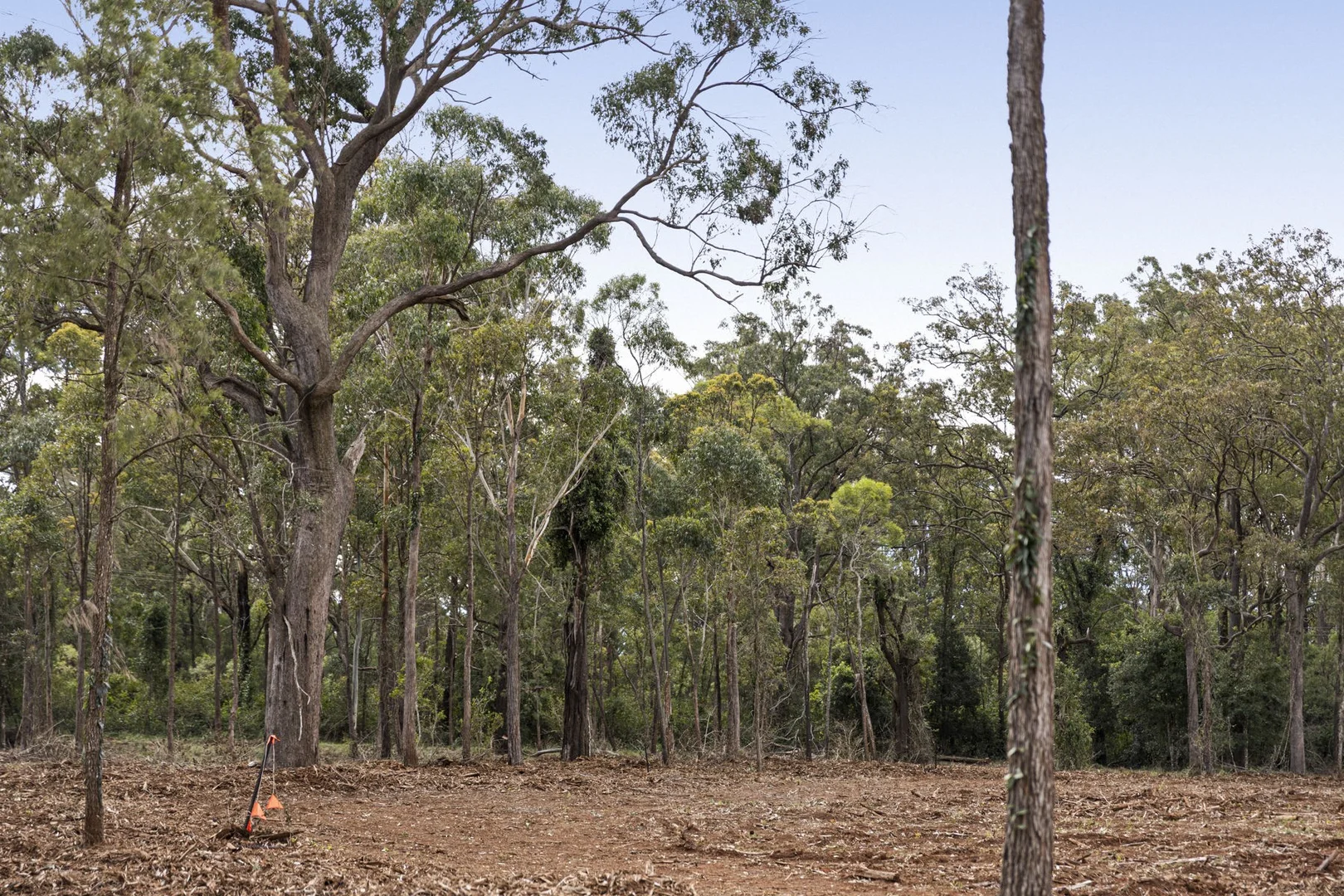 Additional image 14 of Lot 101 Mahs Court, Highfields QLD 4352