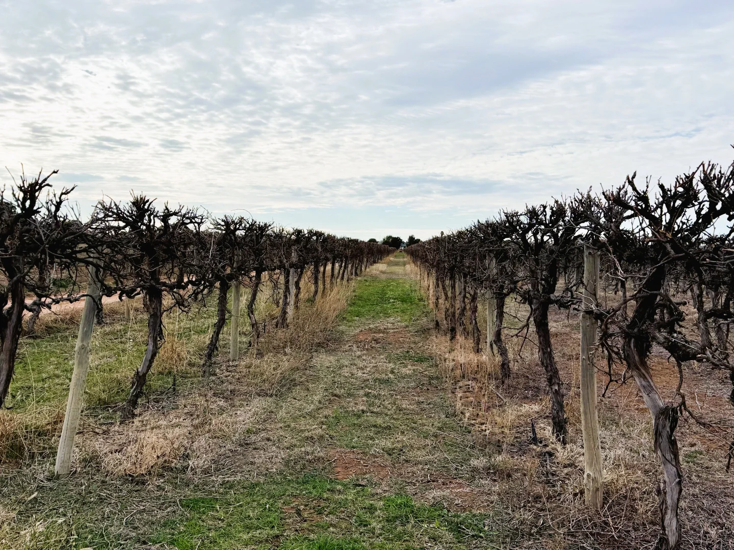 Additional image 3 of 445 Government Road, Renmark SA 5341