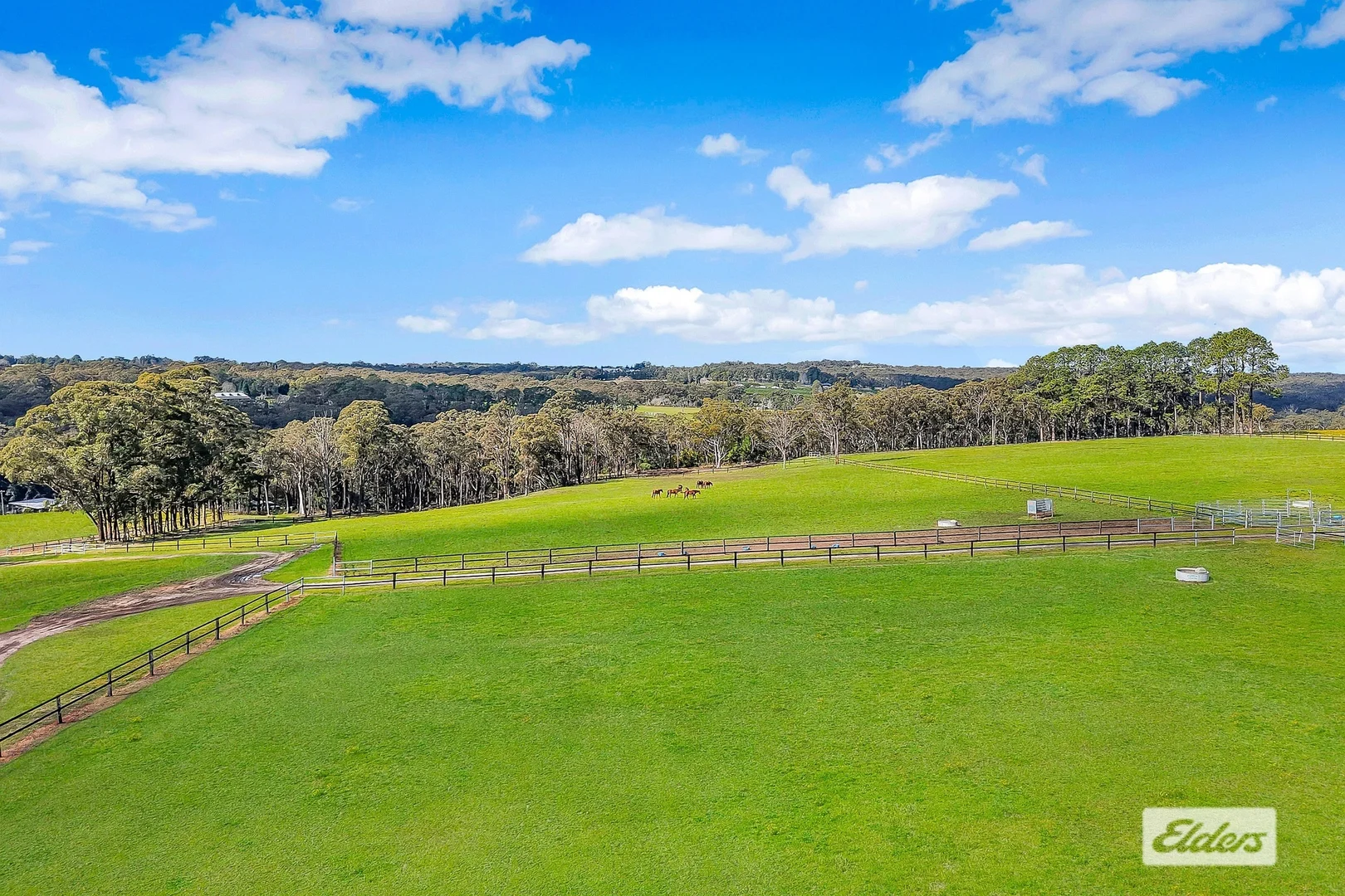 Additional image 11 of 271 Williams Road, Kulnura NSW 2250