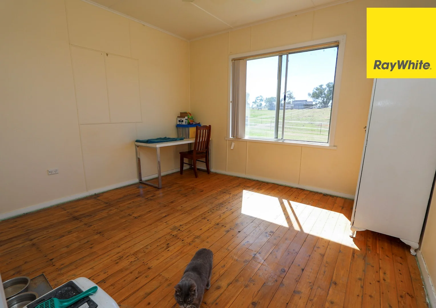 Additional image 7 of 103 Inverell Street, Ashford NSW 2361