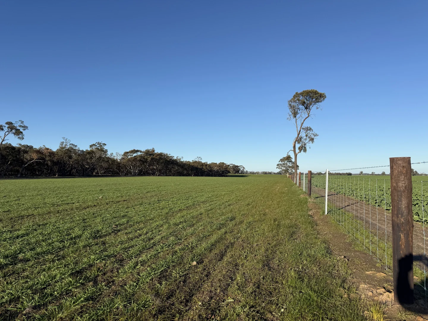 Additional image 14 of CA/75 A Watkins Road, Karnak VIC 3401