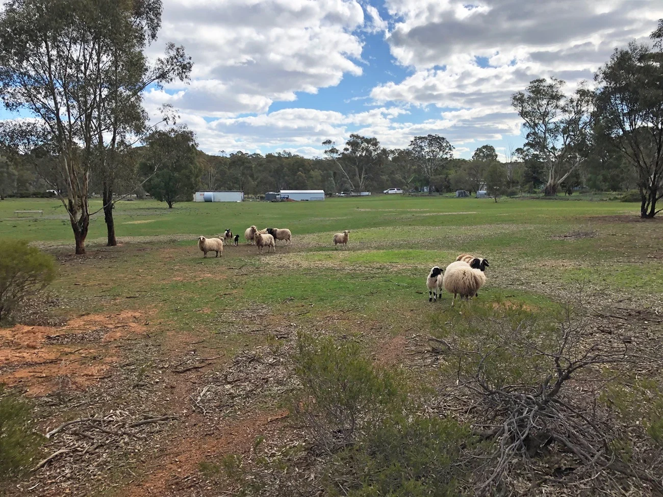 Additional image 8 of 35 Wakefield Street, Wedderburn VIC 3518