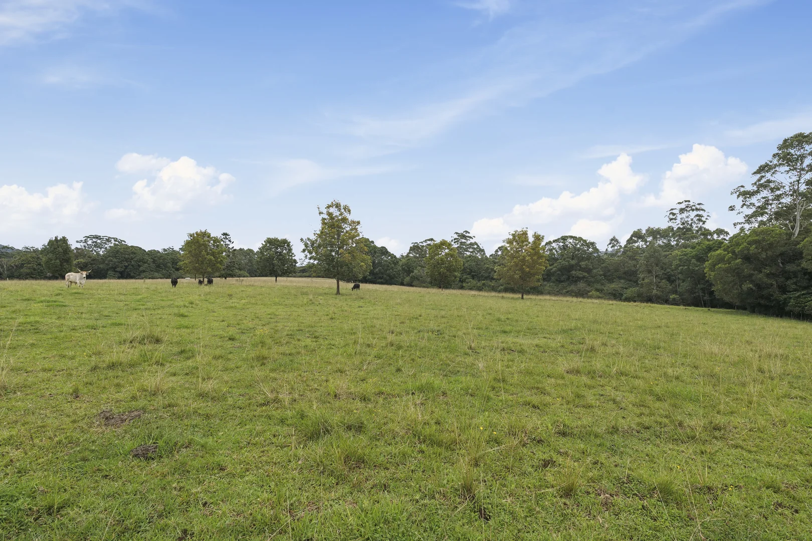 Additional image 10 of 5 Jenkinson Place, Nana Glen NSW 2450