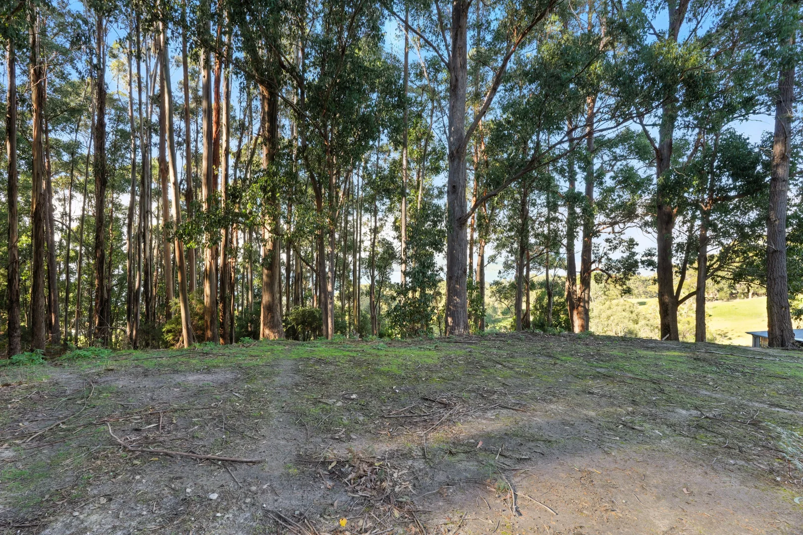 Additional image 8 of 50 McDowall Street, Middleton TAS 7163