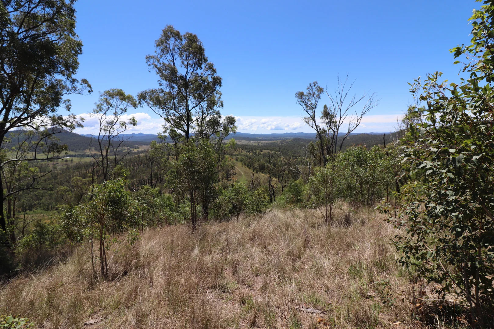 Additional image 18 of 857 Warbro Brook Rd, Toorooka NSW 2440