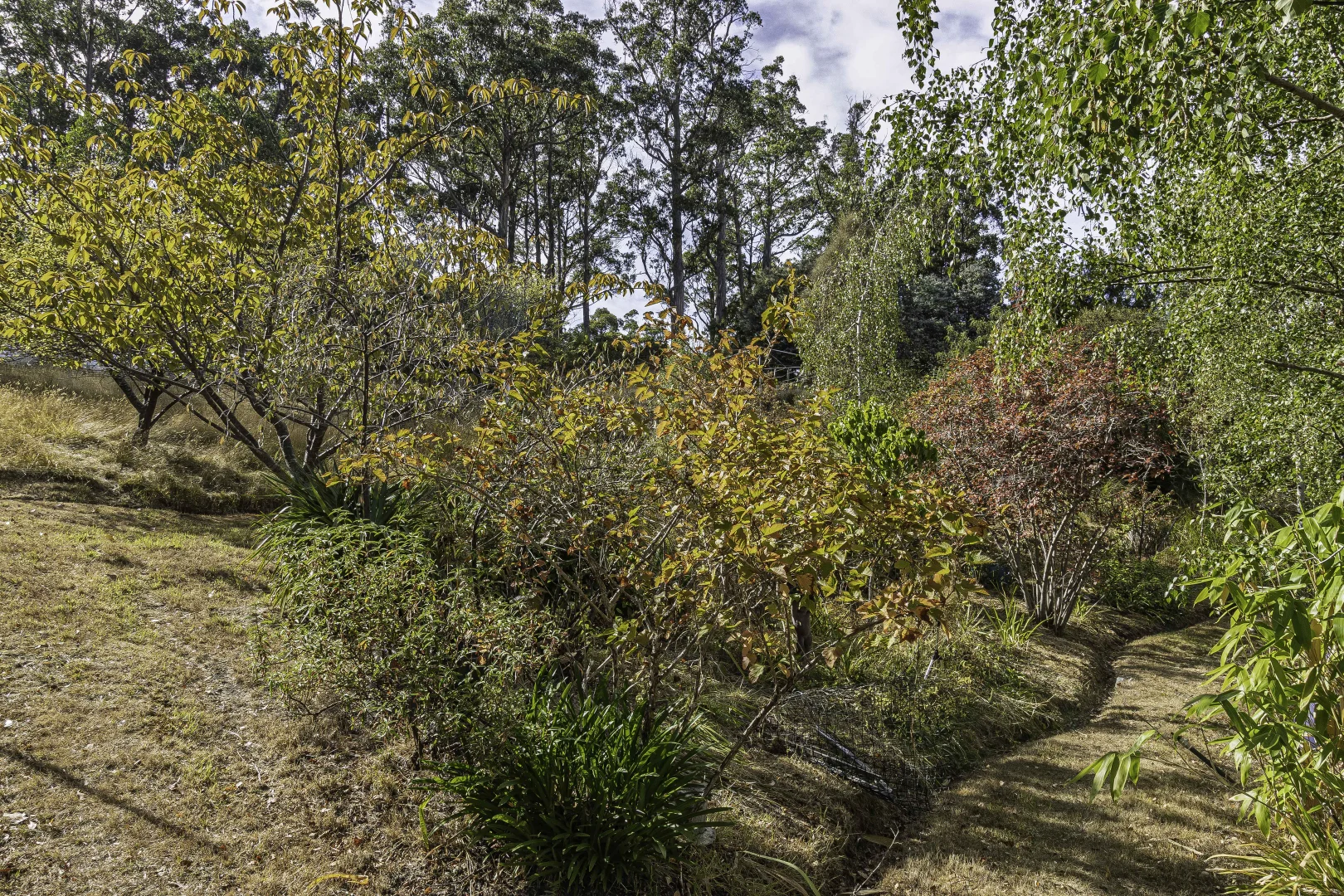 Additional image 45 of 242 Woolleys Road, Lonnavale TAS 7109