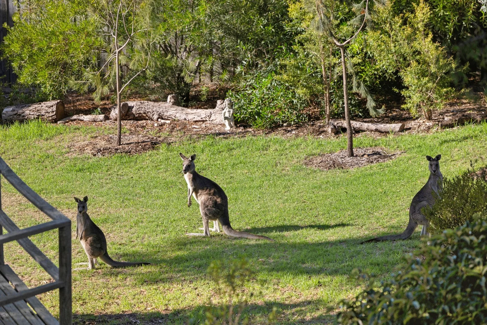 Additional image 12 of 24-26 Jackson Street, Anglesea VIC 3230